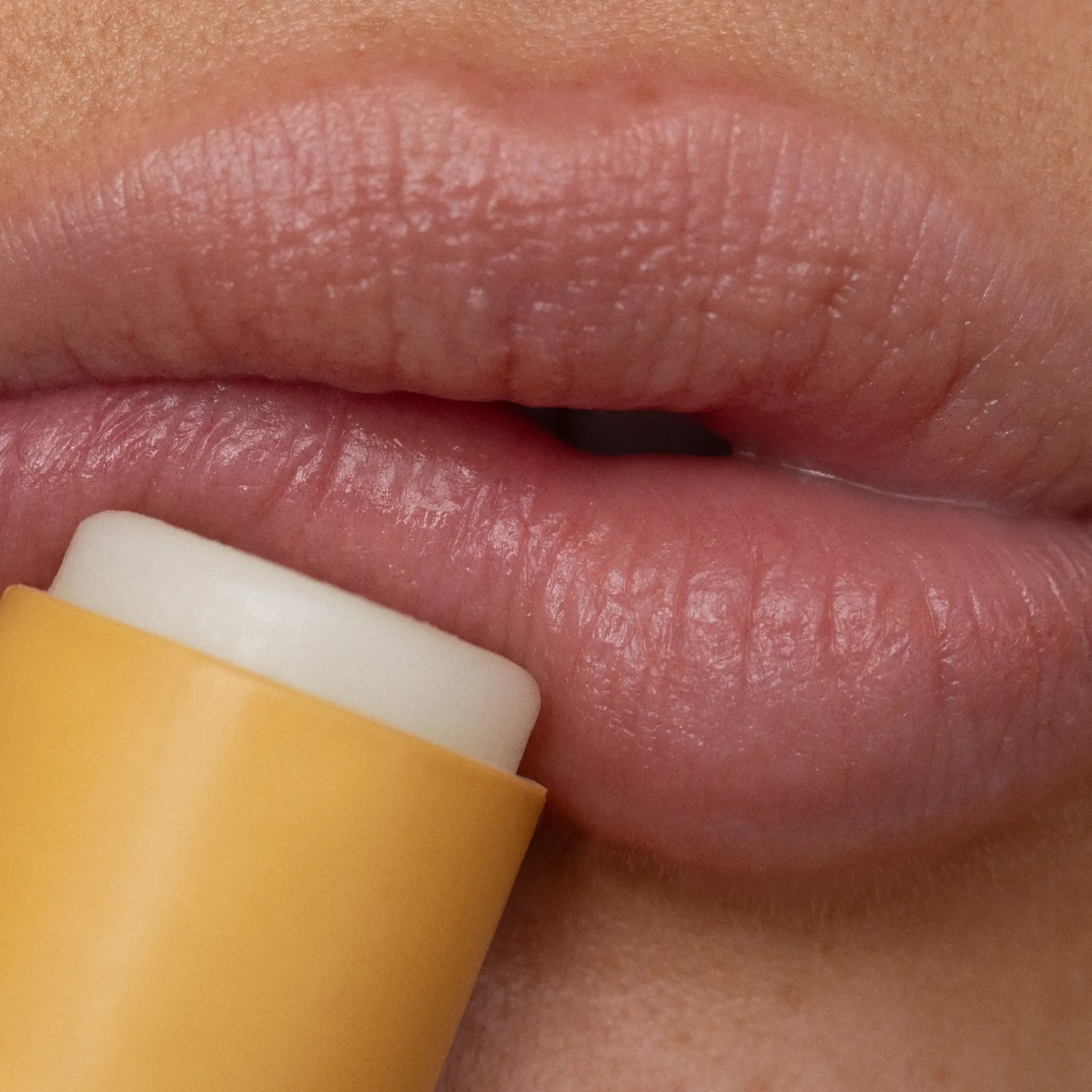 Lip Balm, Wild Honey Poppy & Pout