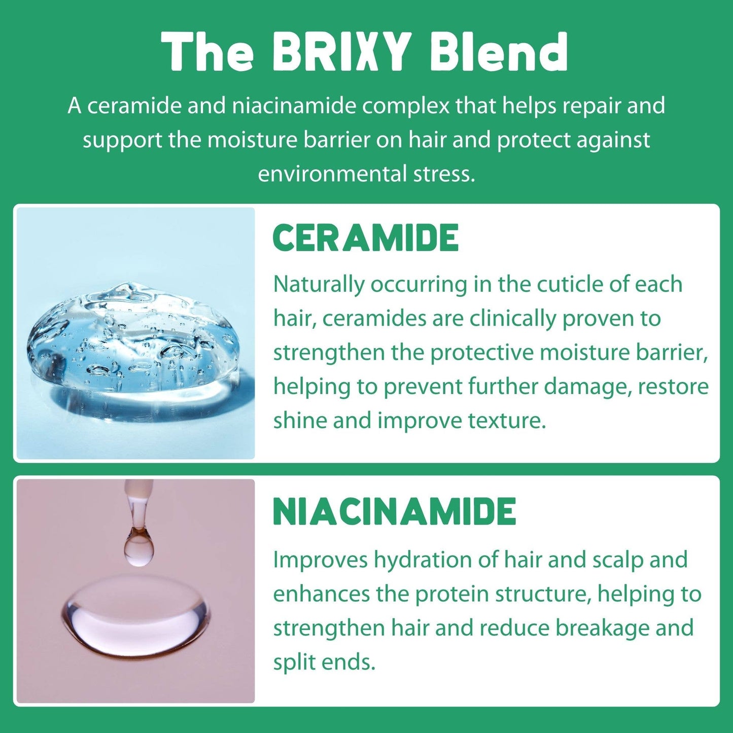 Balance Shampoo Bar For Oily Scalp | All Hair Types