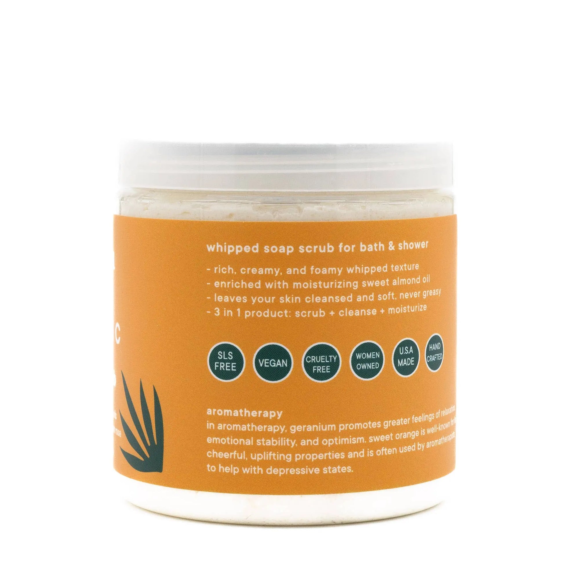 Whip Scrub - Vitamin C π Latika Beauty
