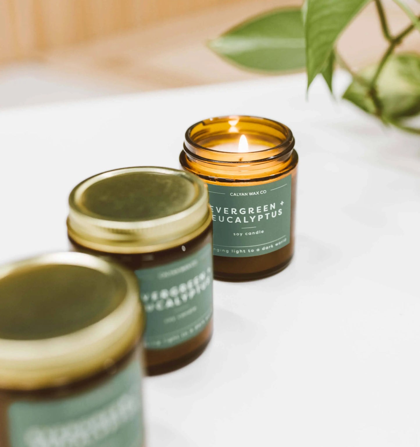 Evergreen + Eucalyptus - Mini Amber Jar Soy Candle Calyan Wax Co.