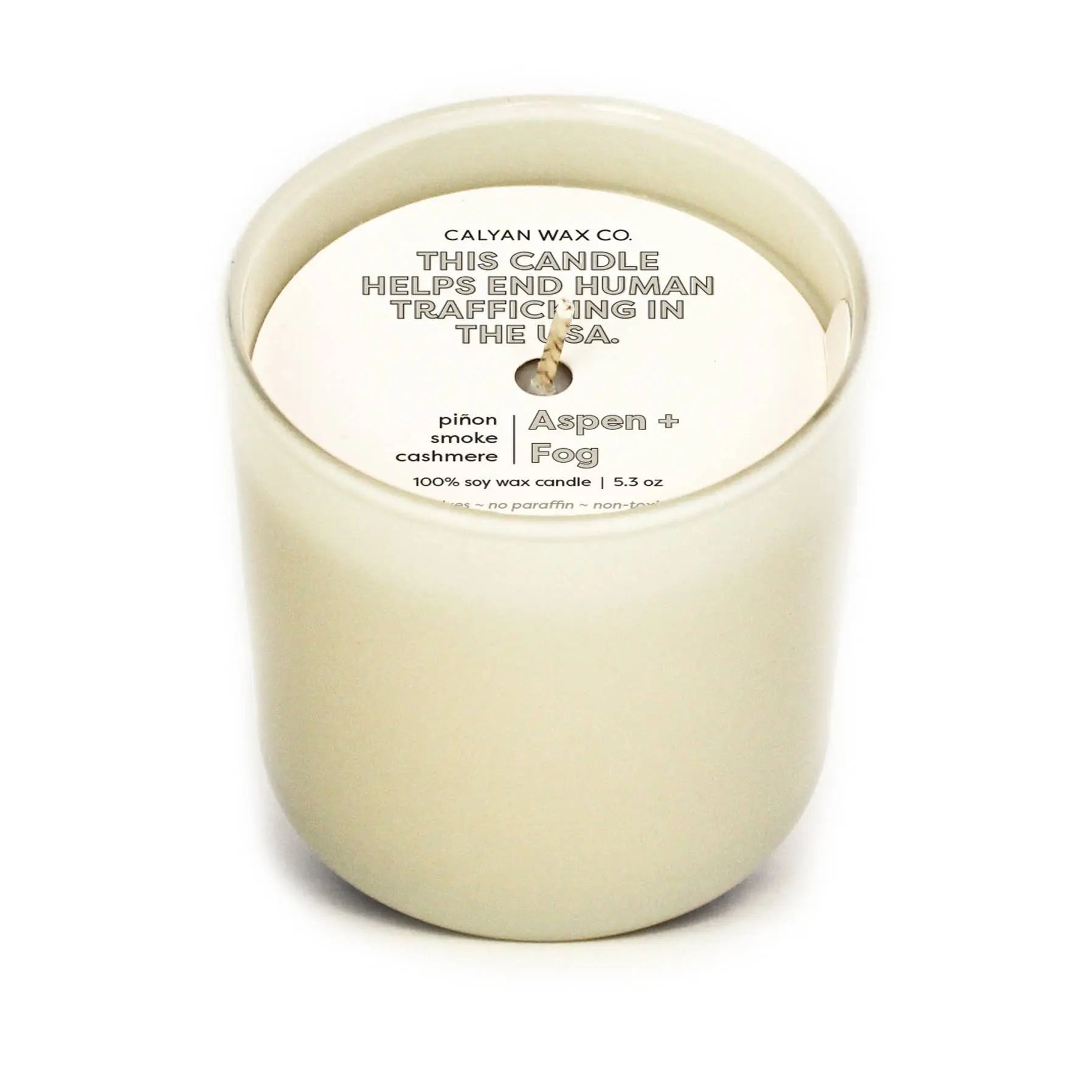 Aspen + Fog - Dignity Series Soy Candle Calyan Wax Co.