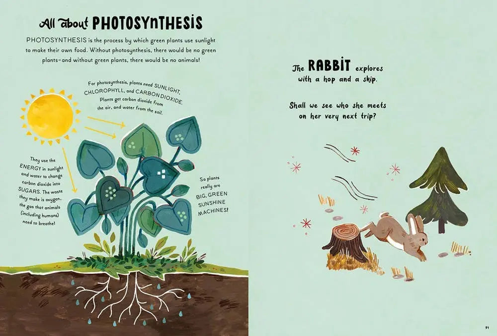 5-Minute Nature Stories Abrams