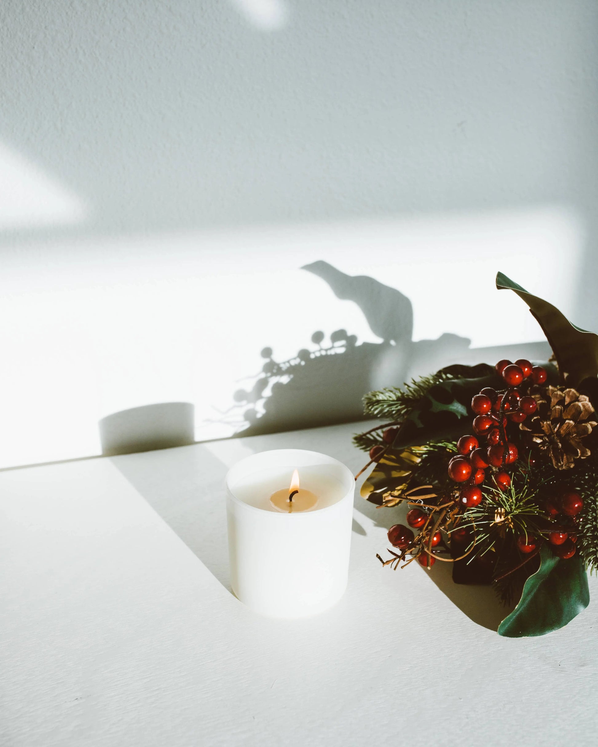 Aspen + Fog - Dignity Series Soy Candle Calyan Wax Co.