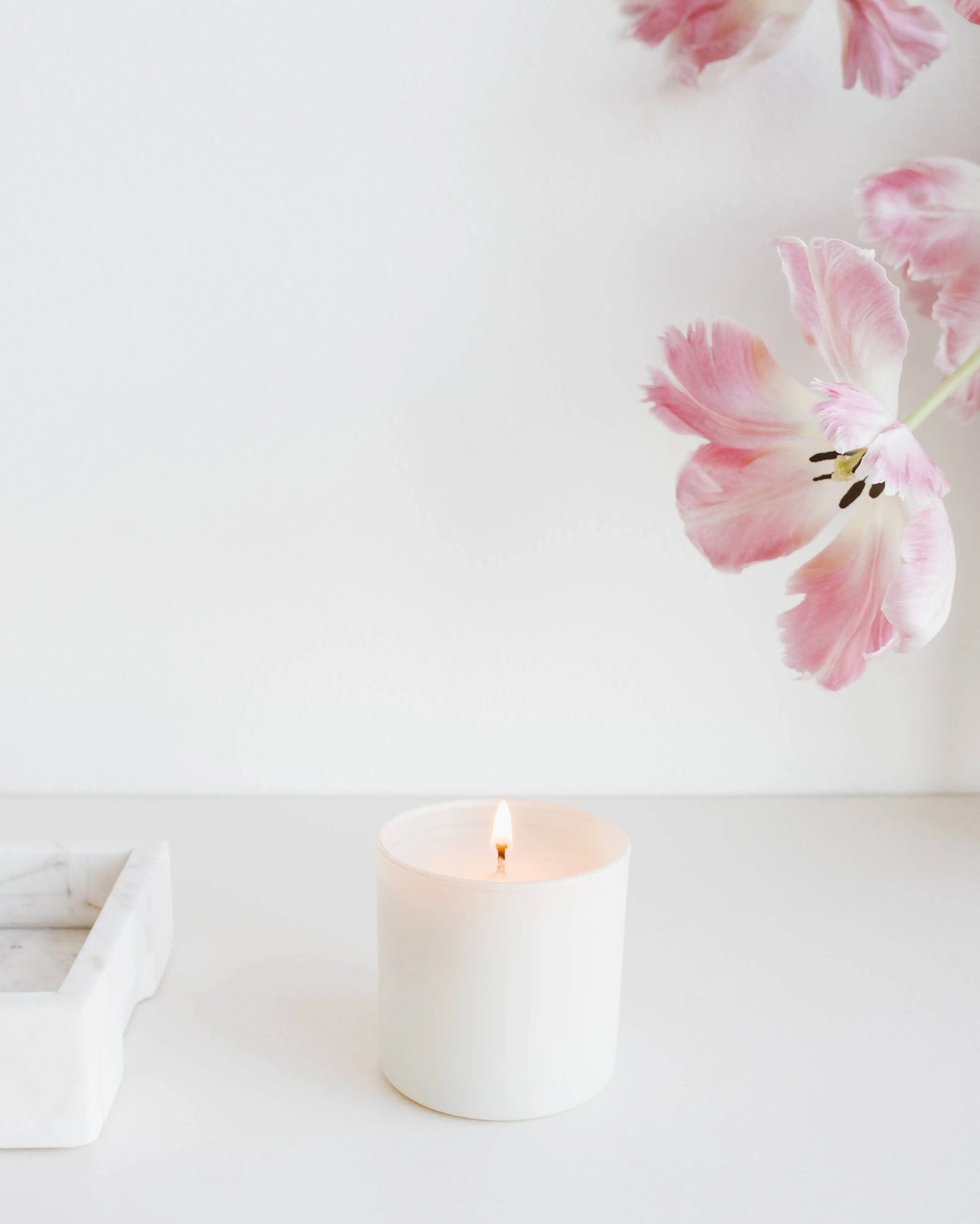 Aspen + Fog - Dignity Series Soy Candle Calyan Wax Co.