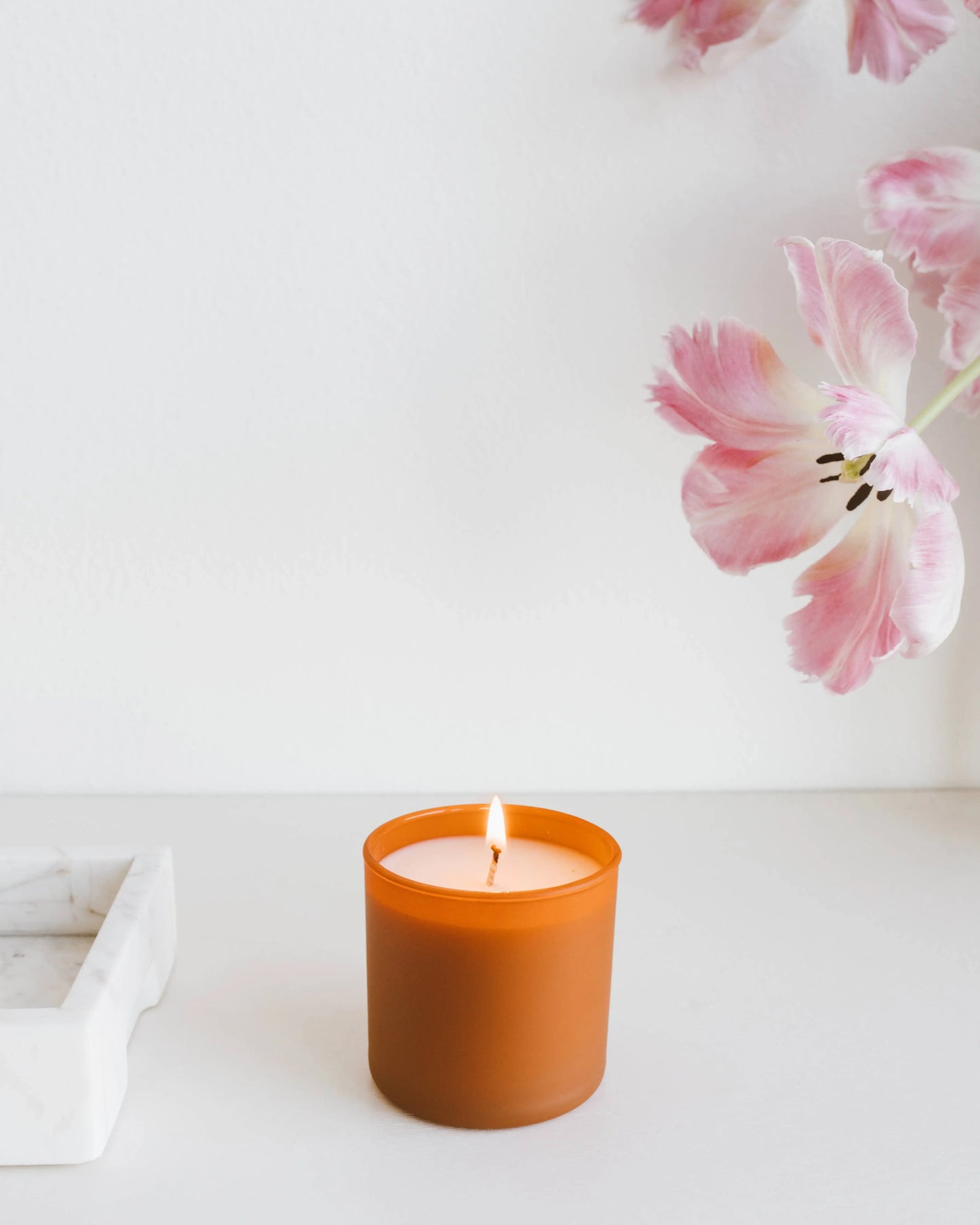 Cedar + Tobacco - Dignity Series Soy Candle Calyan Wax Co.