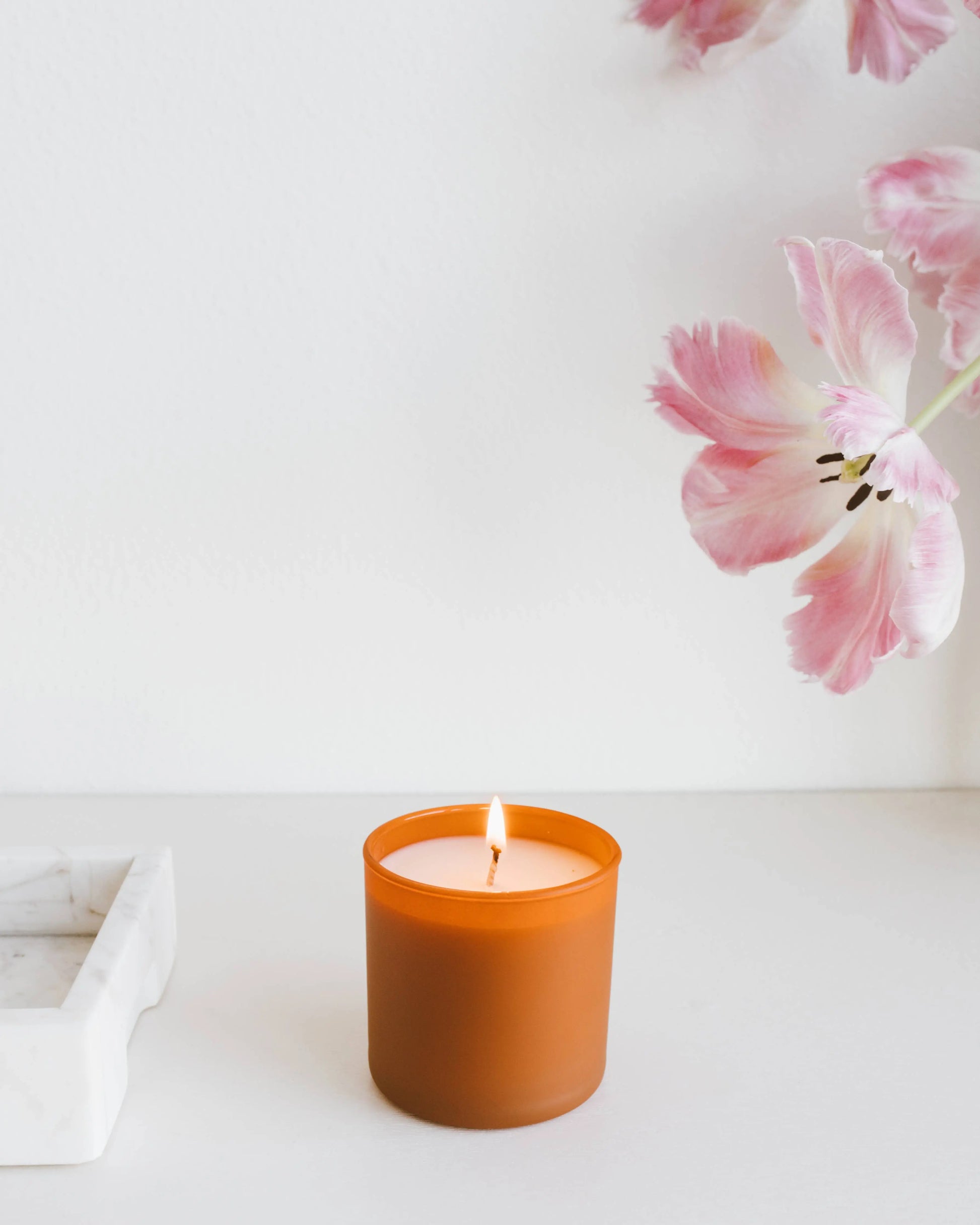 Cedar + Tobacco - Dignity Series Soy Candle Calyan Wax Co.