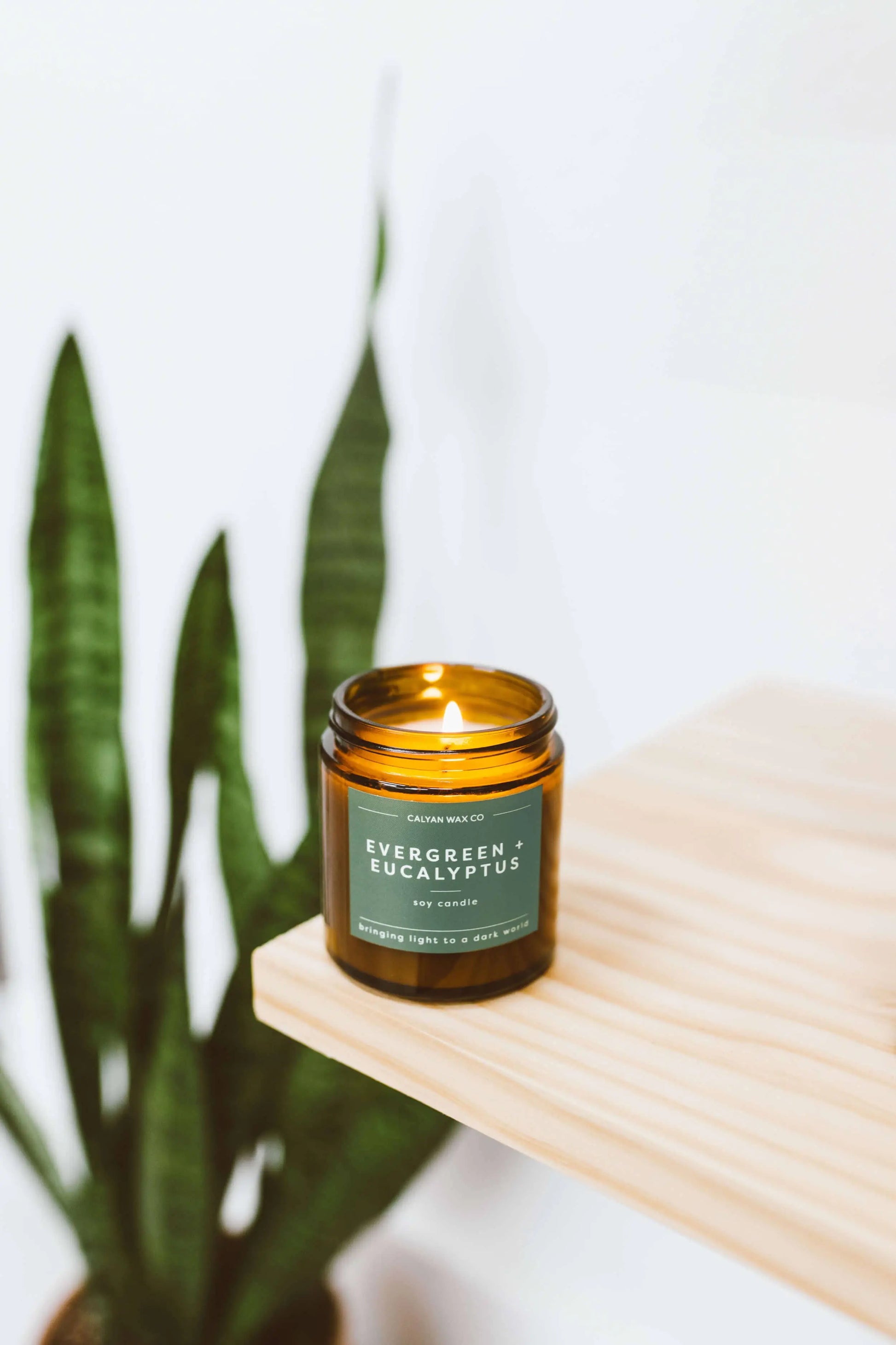 Evergreen + Eucalyptus - Mini Amber Jar Soy Candle Calyan Wax Co.