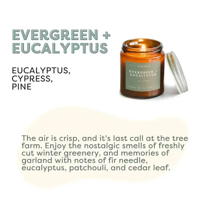 Evergreen + Eucalyptus - Mini Amber Jar Soy Candle Calyan Wax Co.