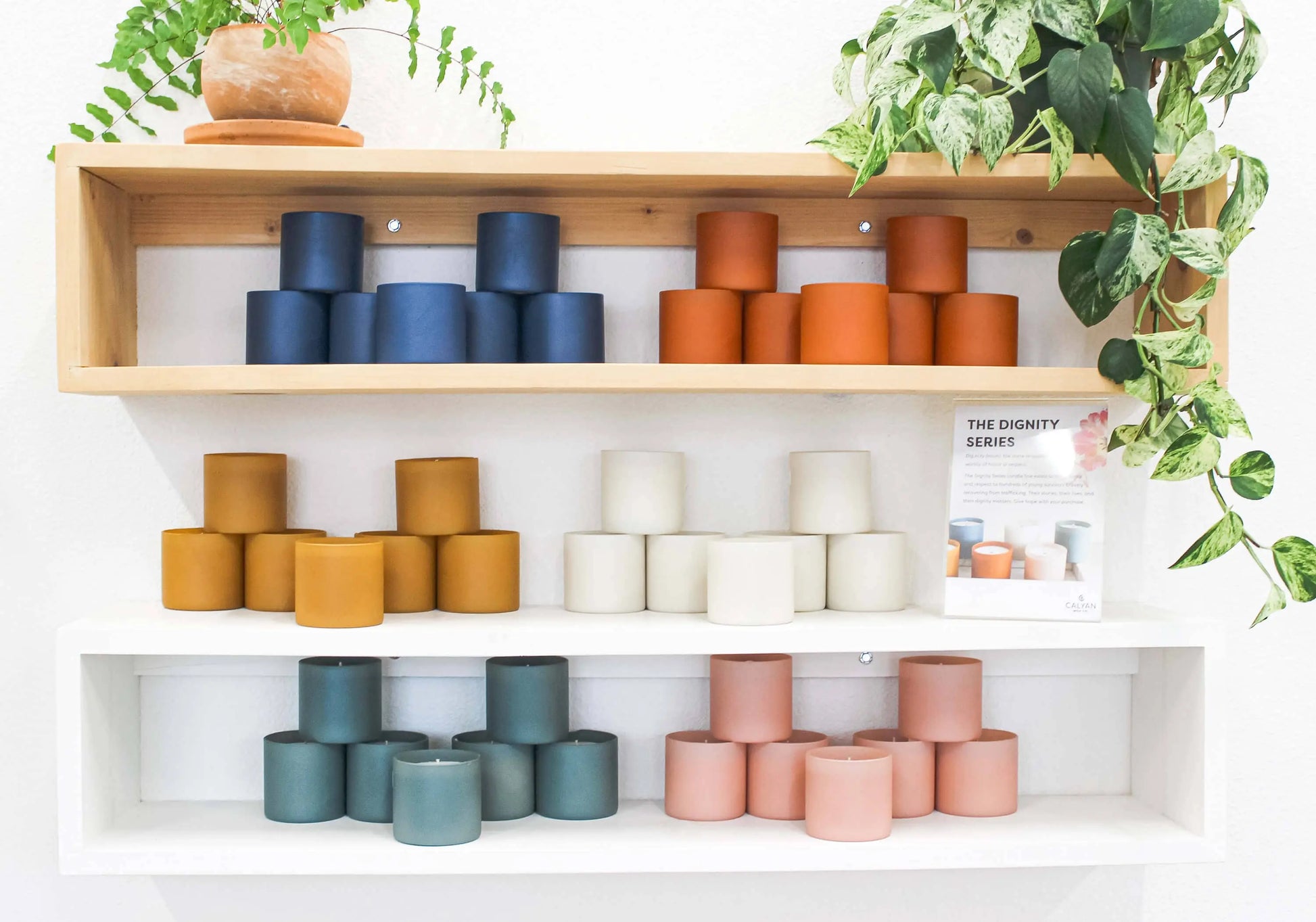 Aspen + Fog - Dignity Series Soy Candle Calyan Wax Co.