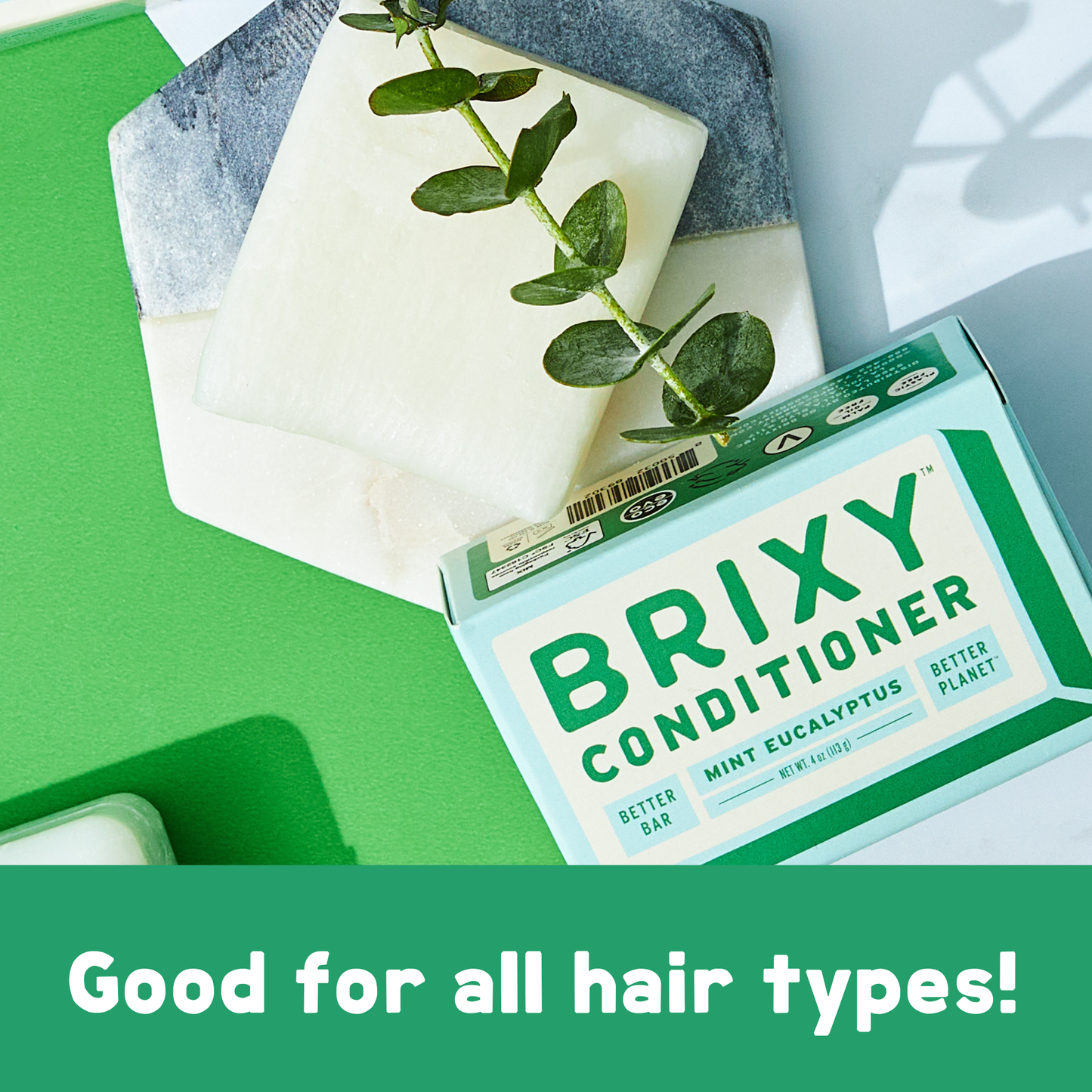 Balance Conditioner Bar For All Hair Types - Mint Eucalyptus