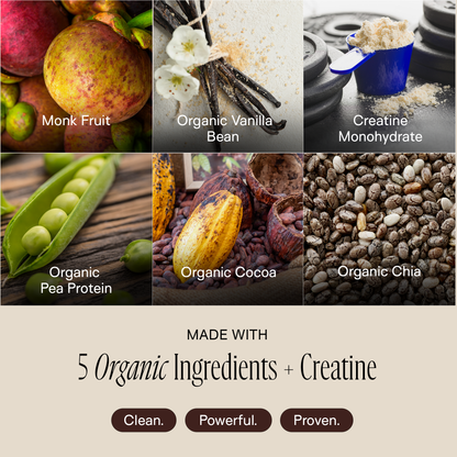 Lean muscle formula - Protein Powder (Chocolate)