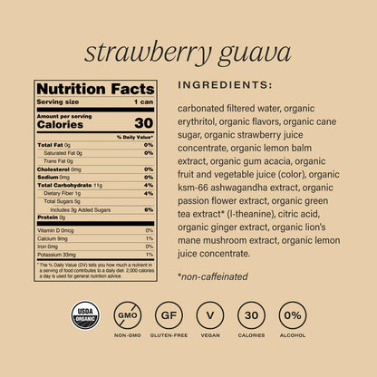Strawberry guava | organic social tonic | 4-packs