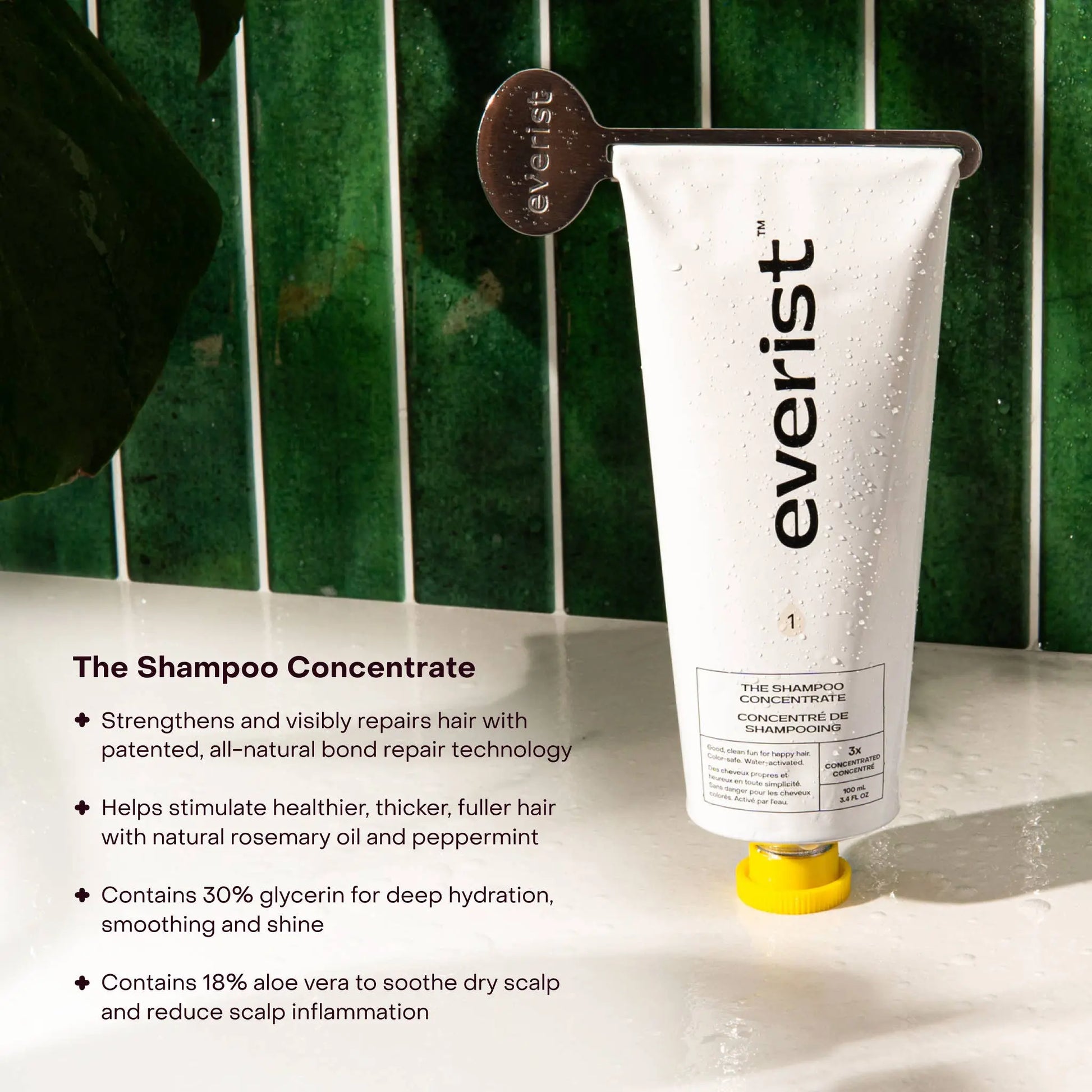 The Shampoo Concentrate: Single (1 Unit) Everist