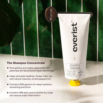 The Shampoo Concentrate: Single (1 Unit) Everist