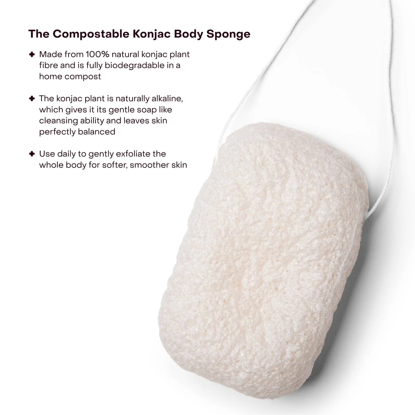 Compostable Konjac Body Sponge: Single (1 Unit) Everist
