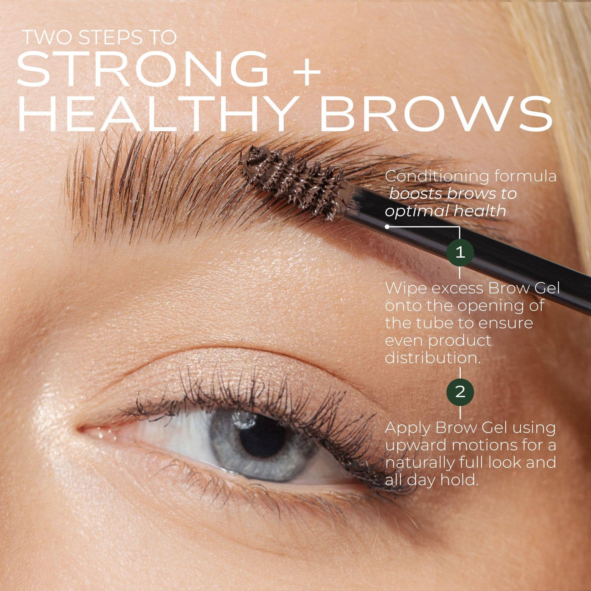 Plant Protein Brow Gel Fitglow Beauty