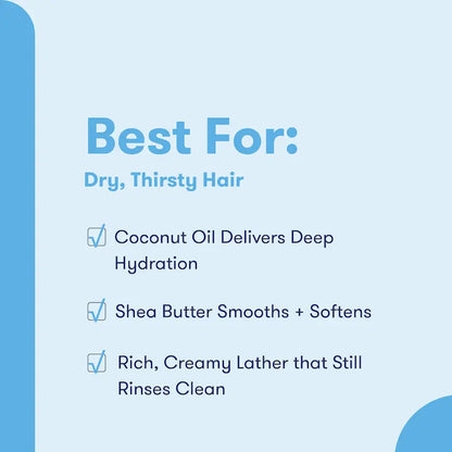 Moisturize Conditioner Bar HiBAR