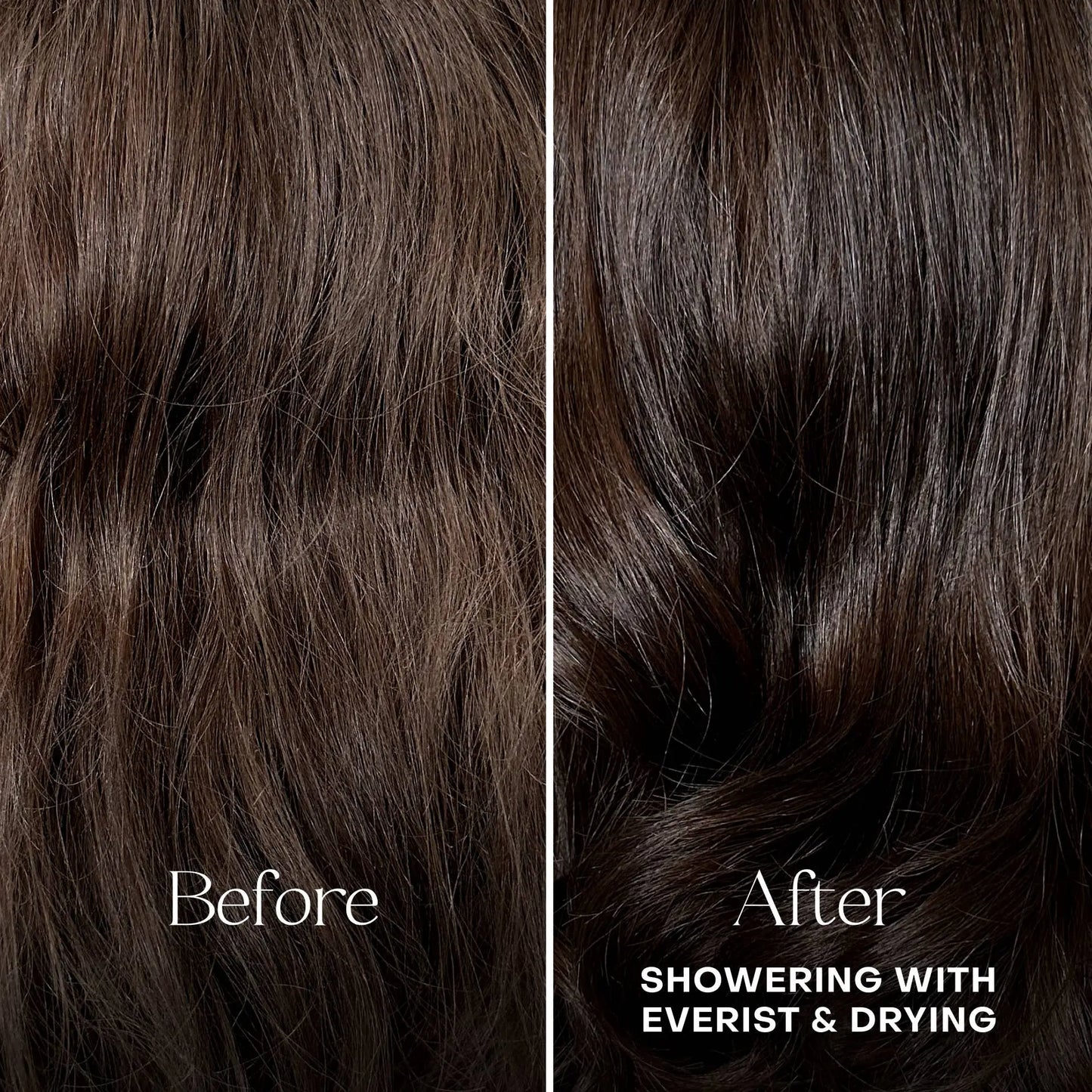 The Deep Conditioning Concentrate: Single (1 Unit) Everist