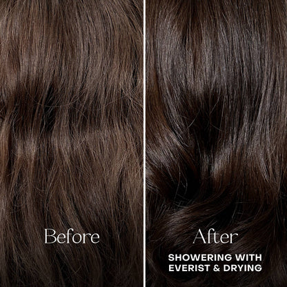 The Shower Essentials Travel Kit: Single (1 Unit)