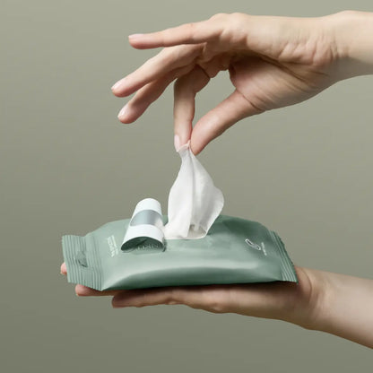 Eucalyptus Nourishing Hand Sanitizing Travel Wipes Noshinku