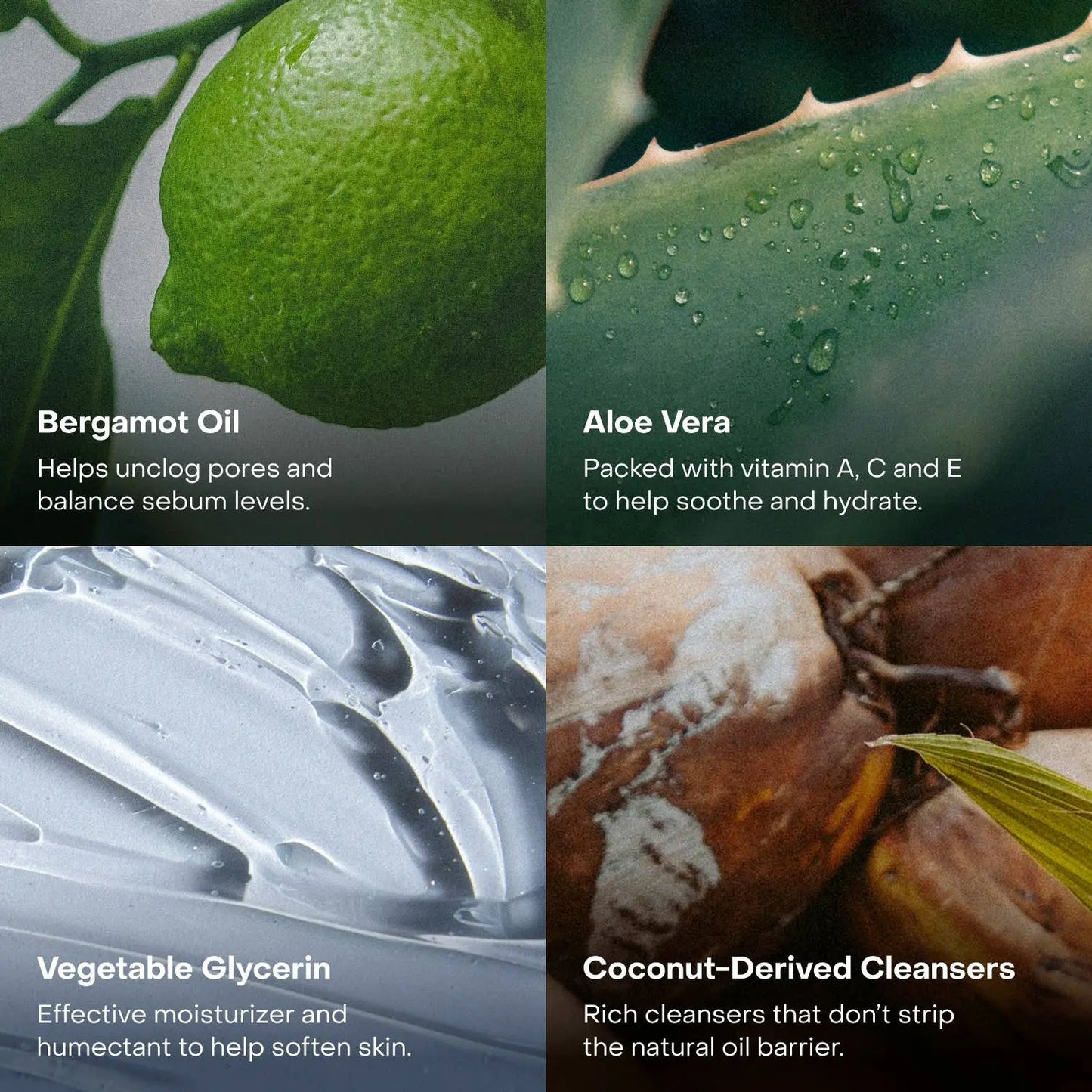The Body Wash Concentrate: Single (1 Unit) Everist