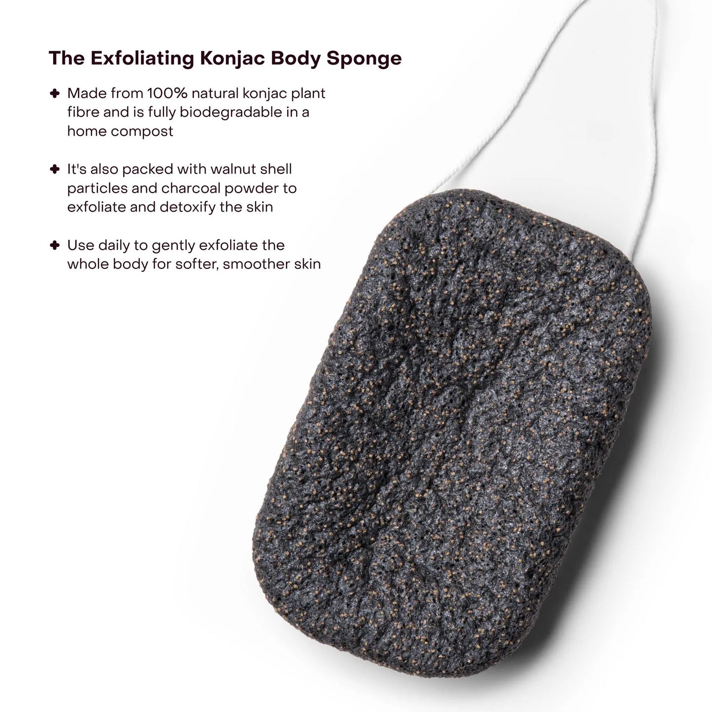 The Exfoliating Konjac Body Sponge: Single (1 Unit) Everist