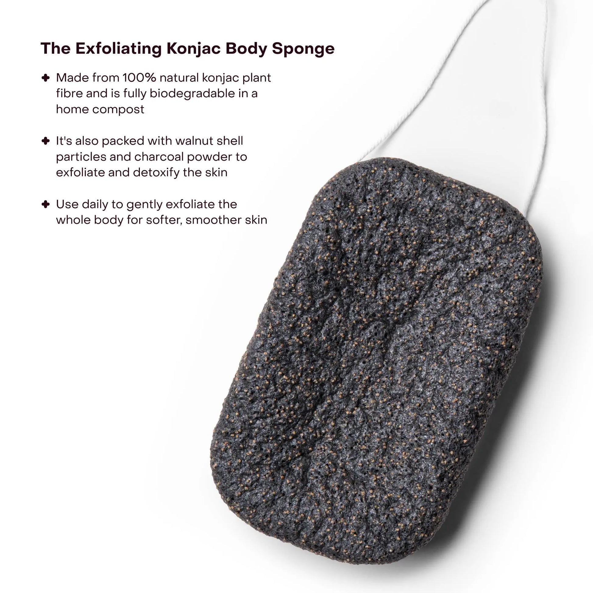 The Exfoliating Konjac Body Sponge: Single (1 Unit) Everist