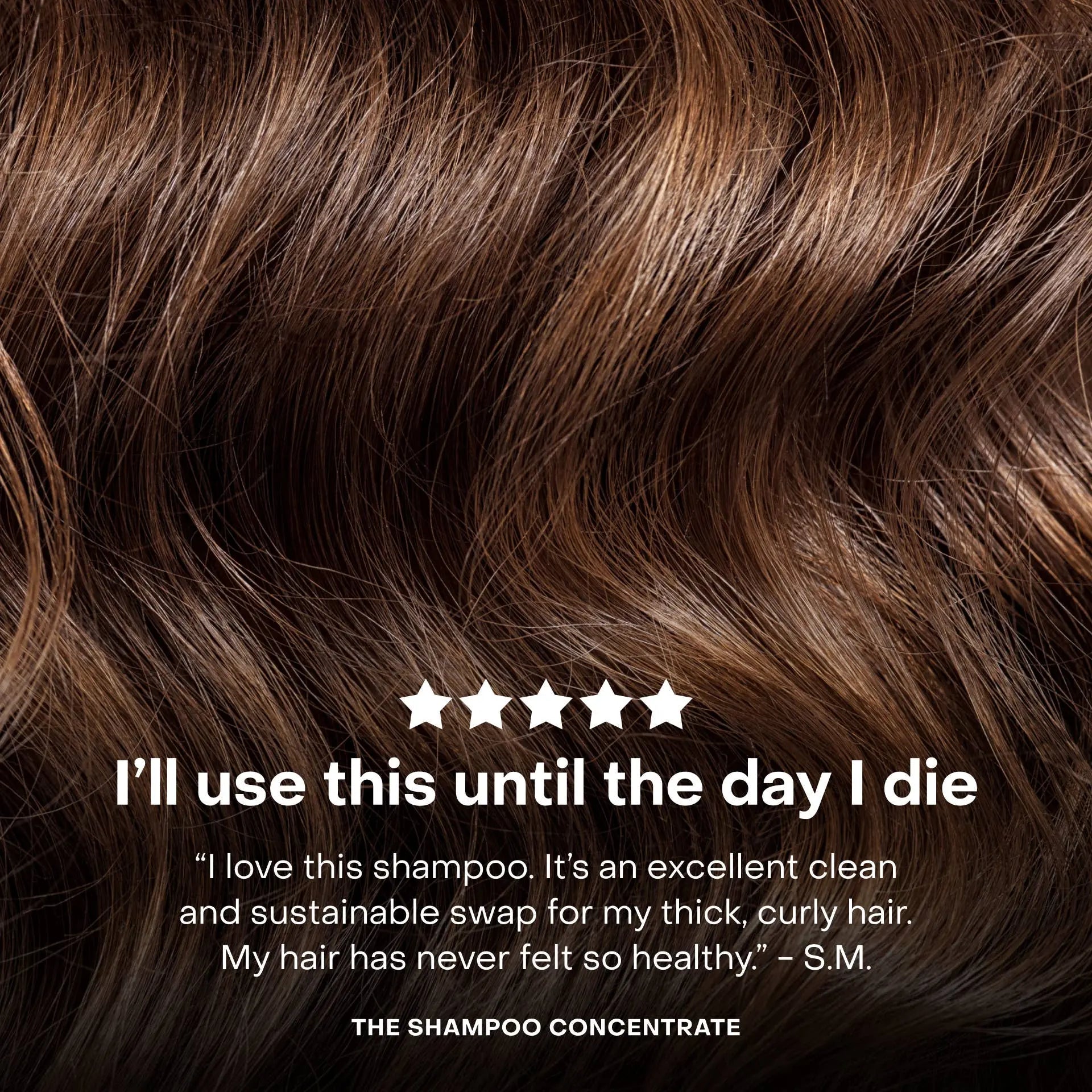 The Shampoo Concentrate: Single (1 Unit) Everist