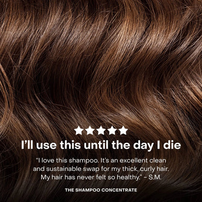 The Shampoo Concentrate: Single (1 Unit) Everist