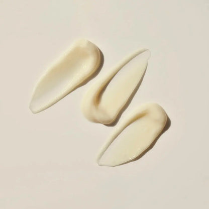 Eternal Renewal Face Cream with Royal Jelly WELLSPRING
