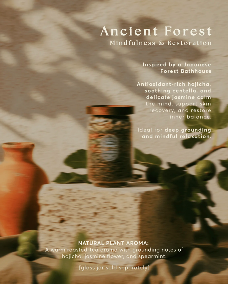 Inoki Bathhouse Ancient Forest Bath Tea - Mindfulness & Restoration WELLSPRING