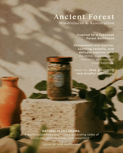 Inoki Bathhouse Ancient Forest Bath Tea - Mindfulness & Restoration WELLSPRING