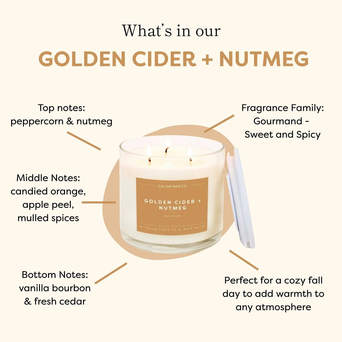 GoldenCider + Nutmeg - 3 Wick Clear Glass Tumbler Soy Candle Calyan Wax Co.