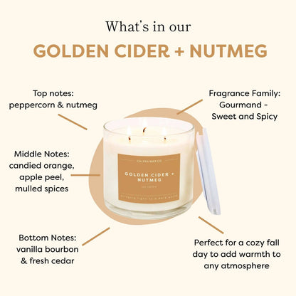 GoldenCider + Nutmeg - 3 Wick Clear Glass Tumbler Soy Candle Calyan Wax Co.