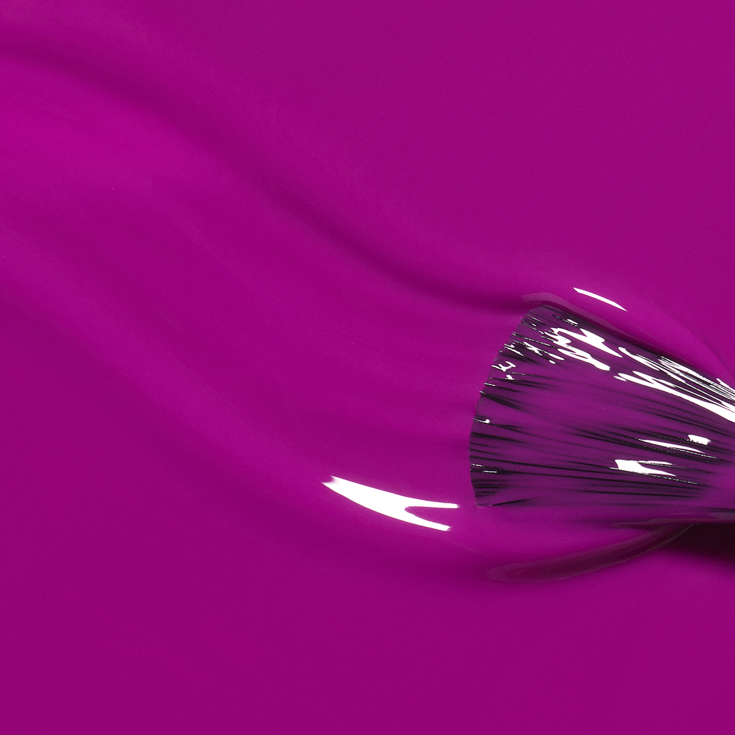 Fizz