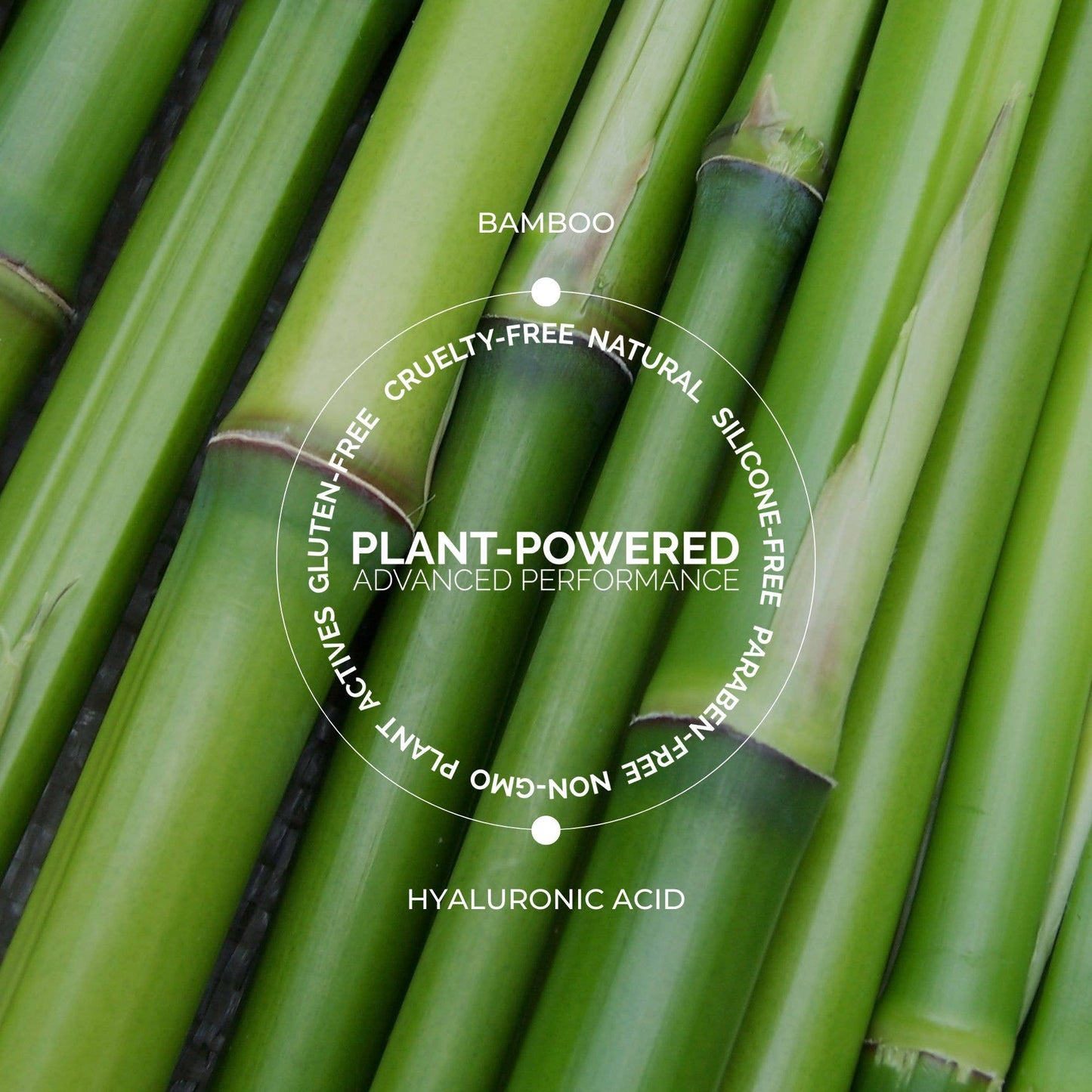 Bamboo Hyaluronic Loose Setting Powder: Translucent Fitglow Beauty