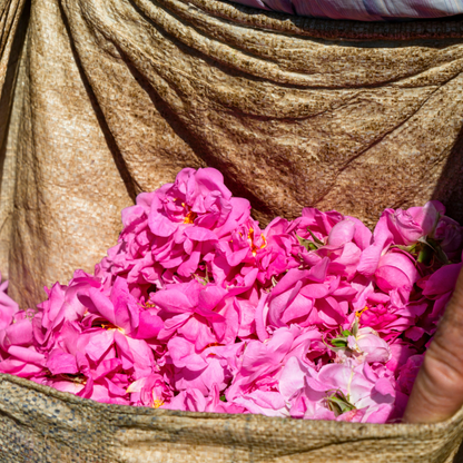 NEW! Damascena Rose De-Stress Moisturizer — Lightweight + Ca Testament Beauty