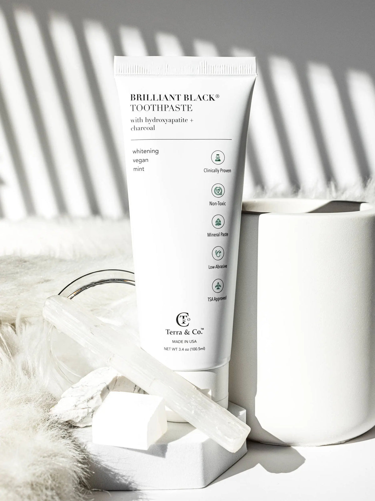 Hydroxyapatite Toothpaste + Charcoal: Default Terra & Tide LLC.