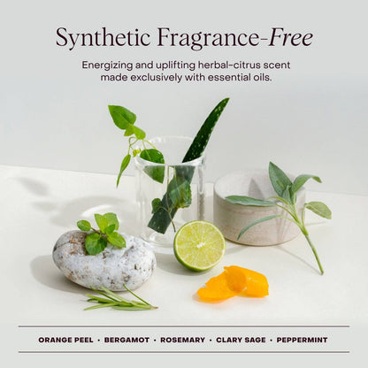 The Shampoo & Conditioner Sampling Kit