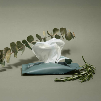 Eucalyptus Nourishing Hand Sanitizing Travel Wipes Noshinku