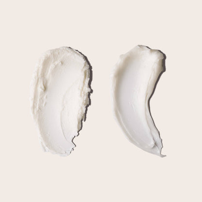 The Shampoo & Conditioner Sampling Kit